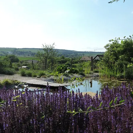 Bed & Breakfast Hoeve Weltevree